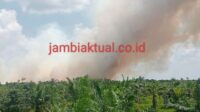 Karhutla di desa gambut jaya kecamatan sungai gelam, Muaro jambi