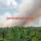 Karhutla di desa gambut jaya kecamatan sungai gelam, Muaro jambi