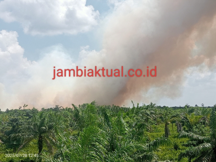 Karhutla di desa gambut jaya kecamatan sungai gelam, Muaro jambi